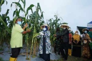 Rahma Walikota Tanjungpinang Ajak Masyarakat Berkebun Manfaatkan Lahan Kosong