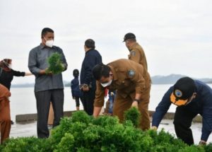 Panen Rumput Laut di Pulau Jaga, Ini Pesan Ansar Gubernur Kepri