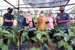 Walikota Tanjungpinang Rahma: “Manfaatkan Lahan Terbatas Untuk Pertanian”